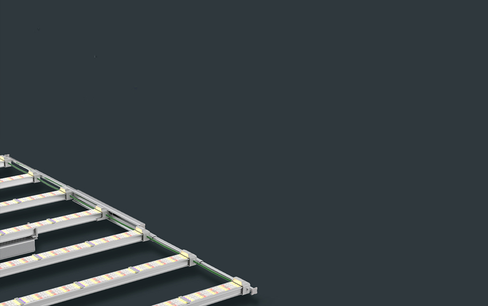 PLANT GROW LIGHT
